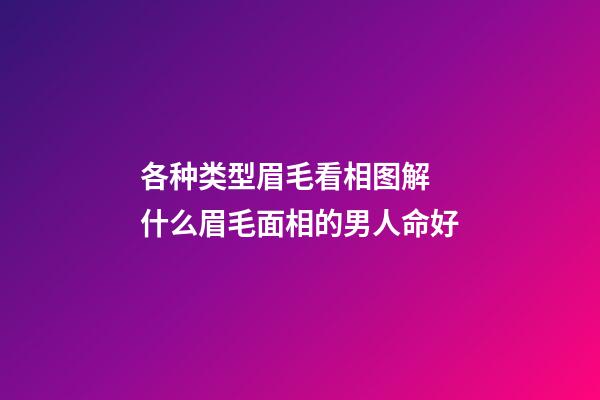 各种类型眉毛看相图解 什么眉毛面相的男人命好
